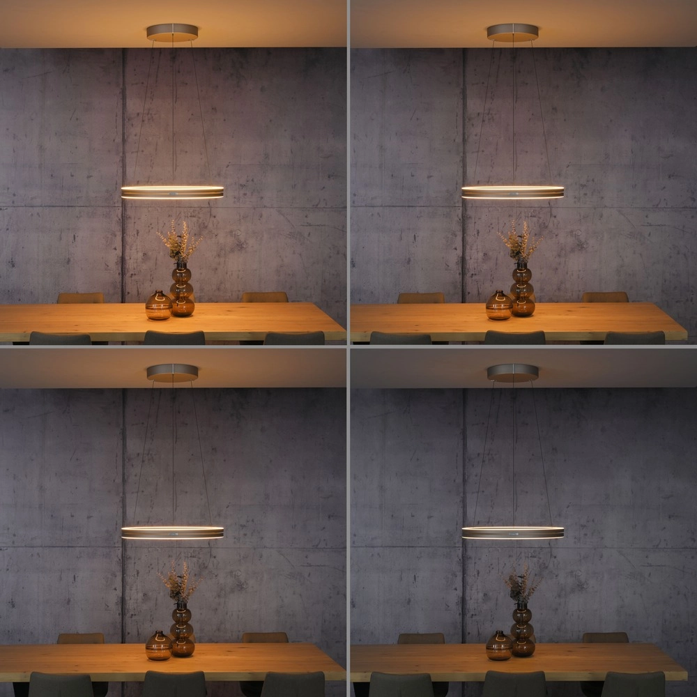 Kantoor hanglamp Pure E-Loop bronce - Ø 70cm Paul Neuhaus 4012248398364