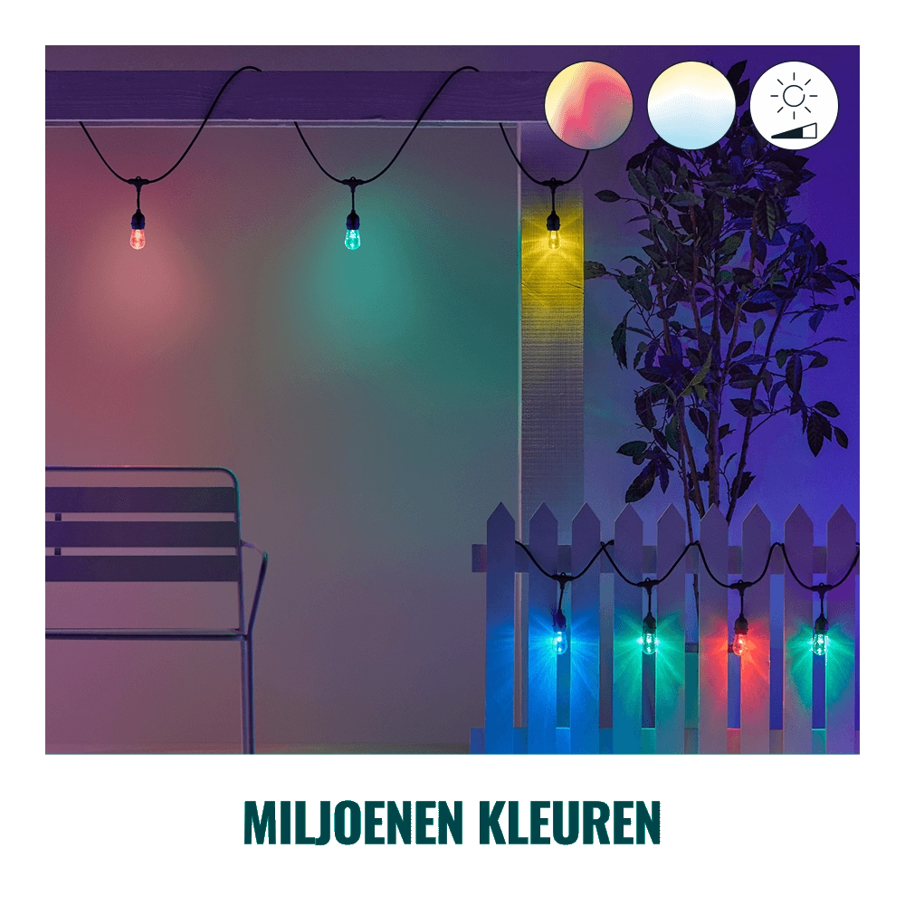 String Lights met 12 slimme sfeerlampjes WiZ 8719514554450
