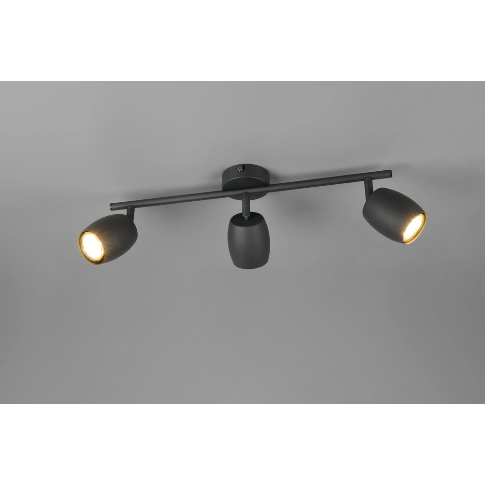 Plafondlamp Nancy 3-lichts zwart Trio 4017807656732