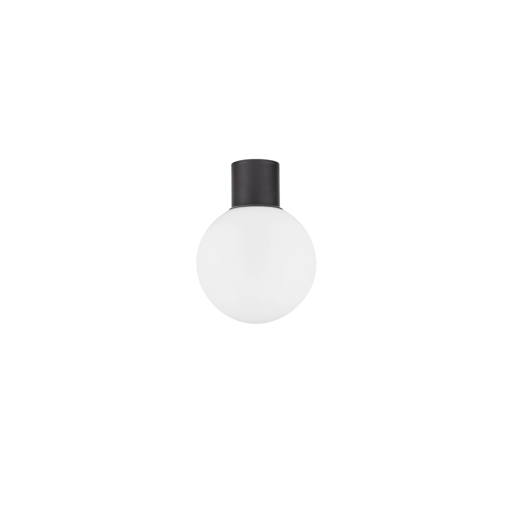 Plafondlamp Spix antraciet met wit bol glas Lyora 5212017476432