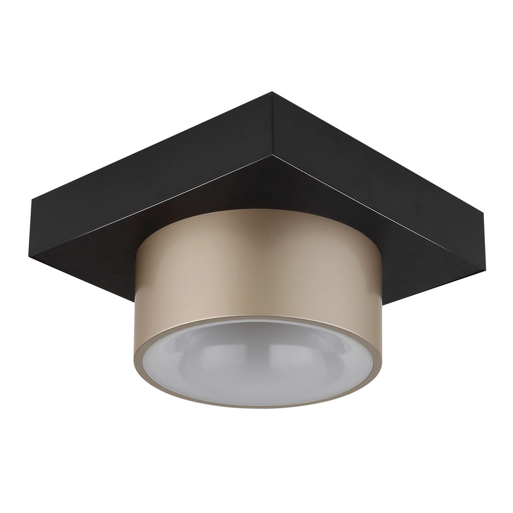 Plafondlamp Raymond zwart met champagne Globo 9007371569373