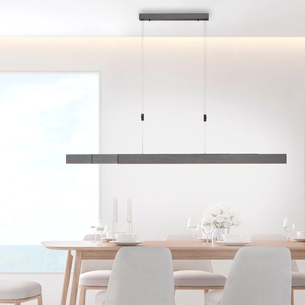 Led hanglamp Pure-Moto geborsteld antraciet Paul Neuhaus 4012248363751