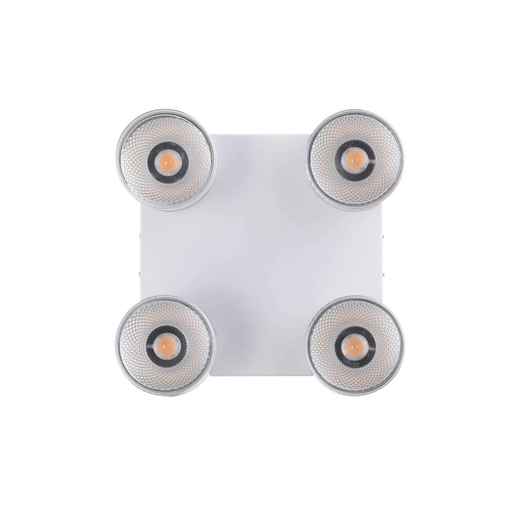 Witte plafondlamp Pure Nola 4-lichts Paul Neuhaus 4012248374559