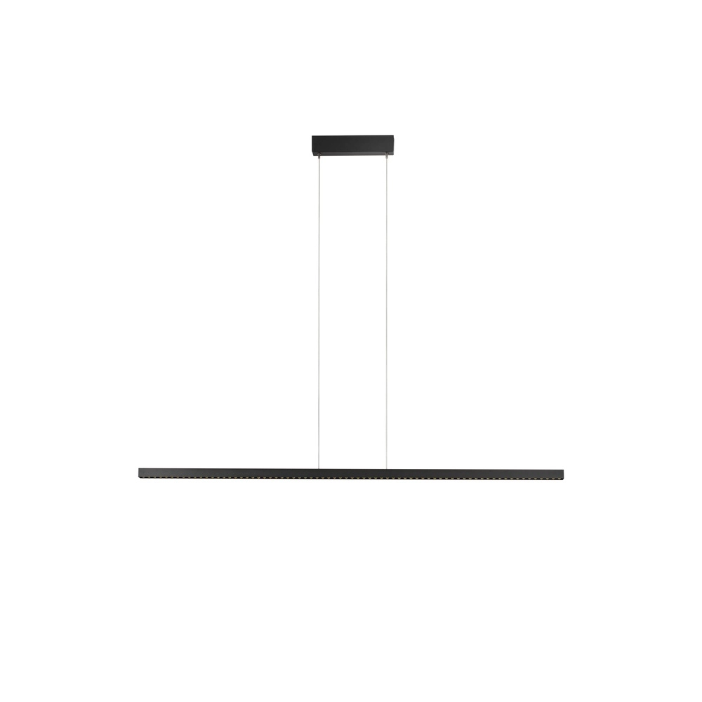 Straight pendant lamp Deos black Lyora 5212017463746