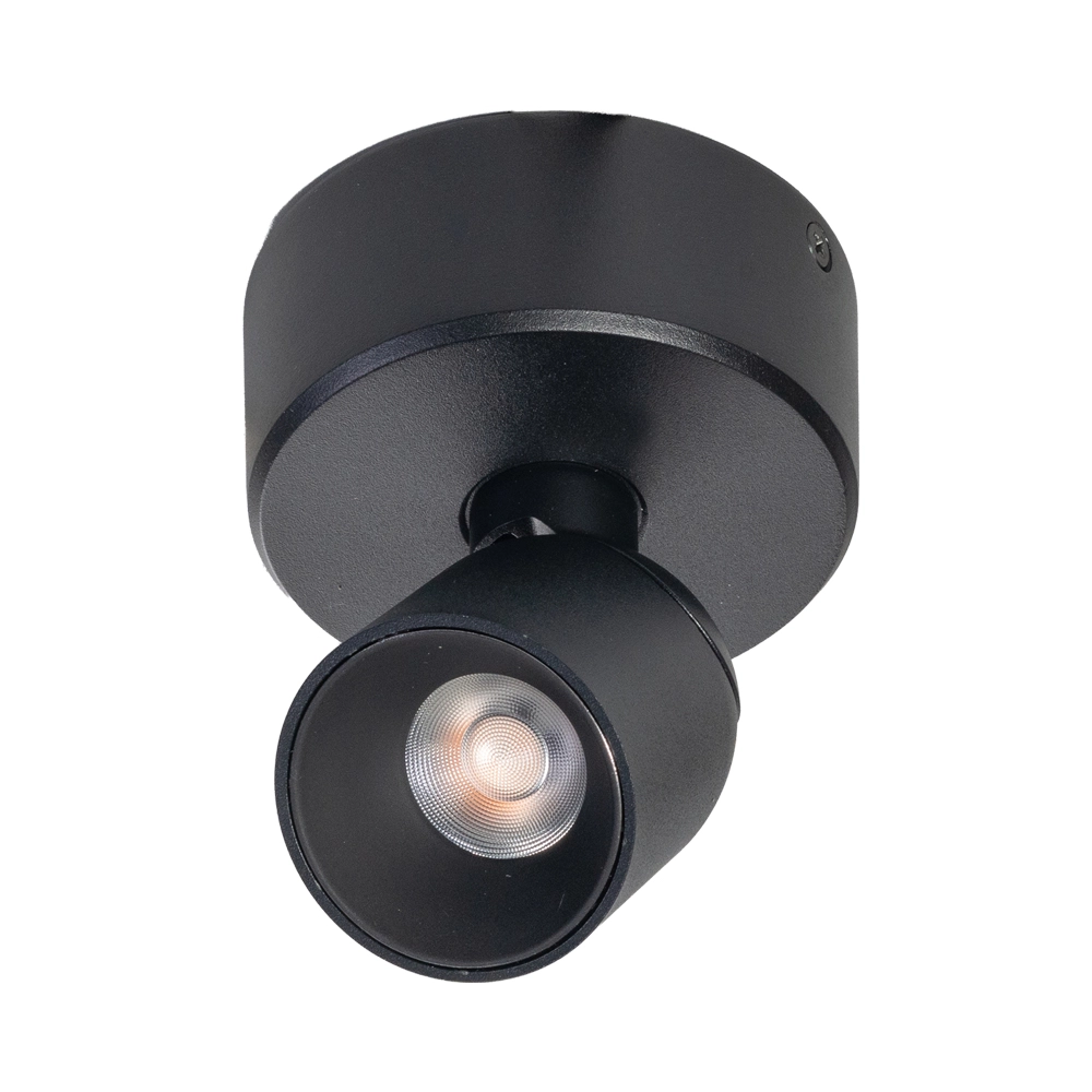 Enkele opbouwspot Dennis led - zwart