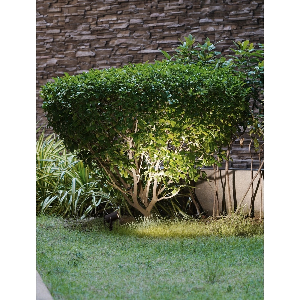 Spike spot Kimiko anthracite Lyora 5212017438232