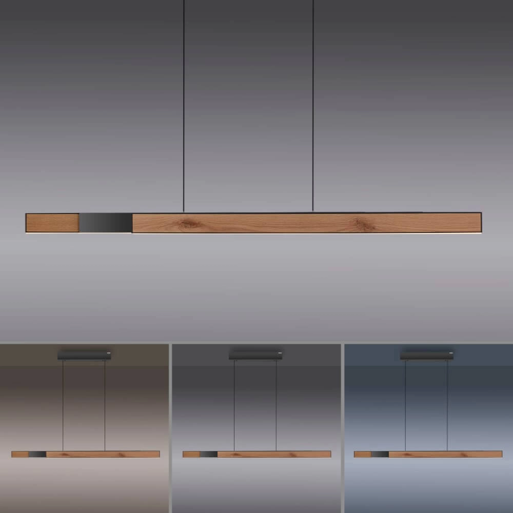 Design hanglamp Pure Moto-Rise hout Paul Neuhaus 4012248374443