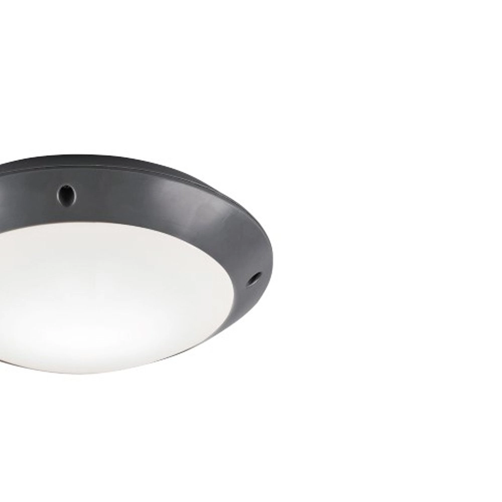 Plafonnière Camaro 26cm antraciet Trio 4017807405910