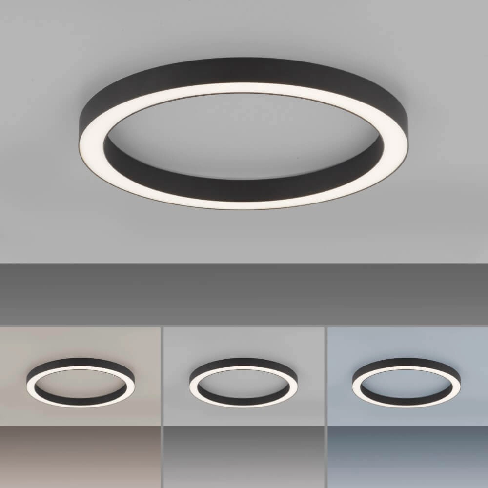 Ronde vloerlamp Pure Lines Round Ø 50cm antraciet Paul Neuhaus 4012248375853