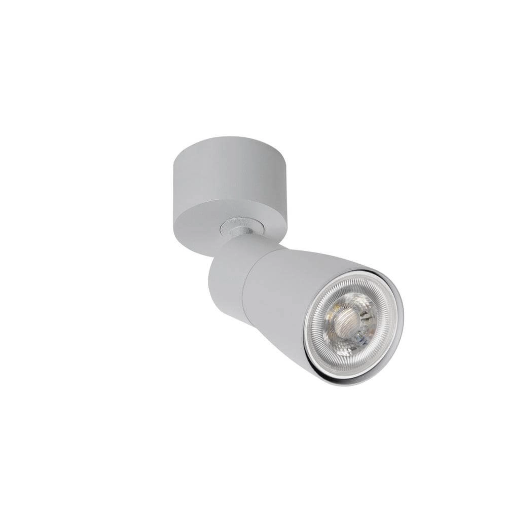 Opbouwspot Puri 2.0 Dome grijs enkel SLV 4024163294317