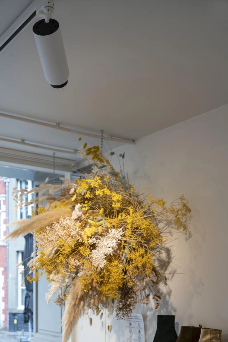 Railspot 3-fase Numinos Zoom M wit/zwart 3000K - 15gr SLV 4024163262026