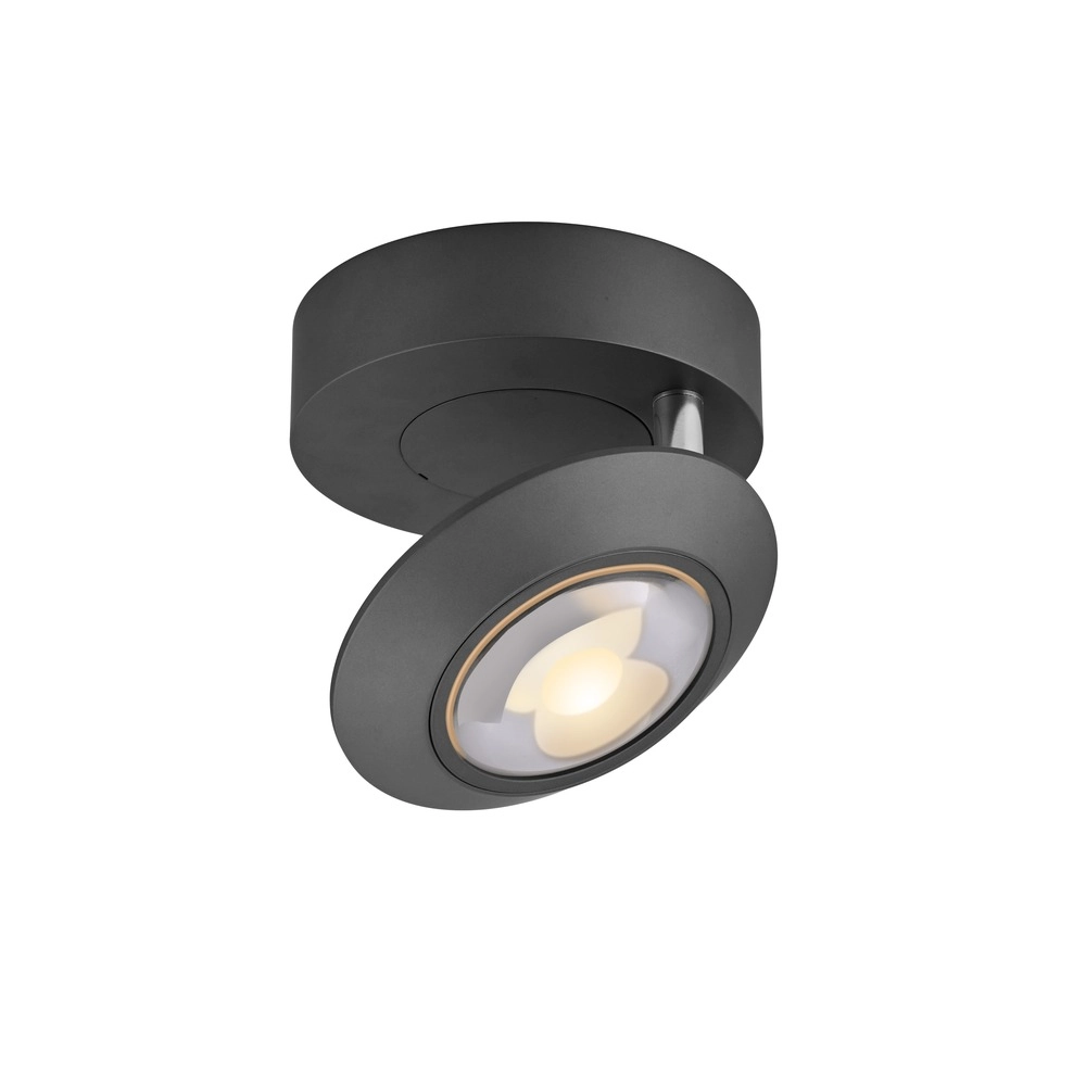 Led plafondspot Pure Oculis black pearl Paul Neuhaus 4012248397053