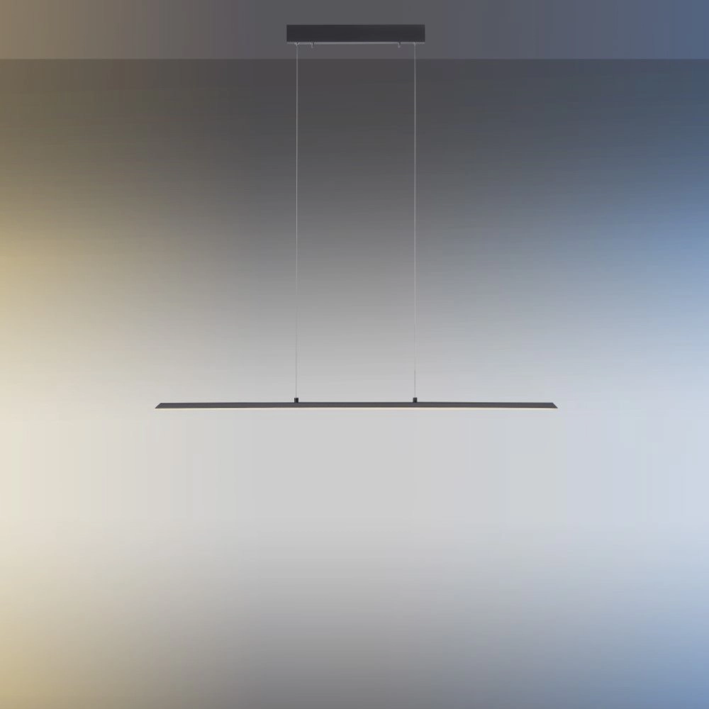 Design hanglamp Pure Lite 100cm antraciet Paul Neuhaus 4012248344873