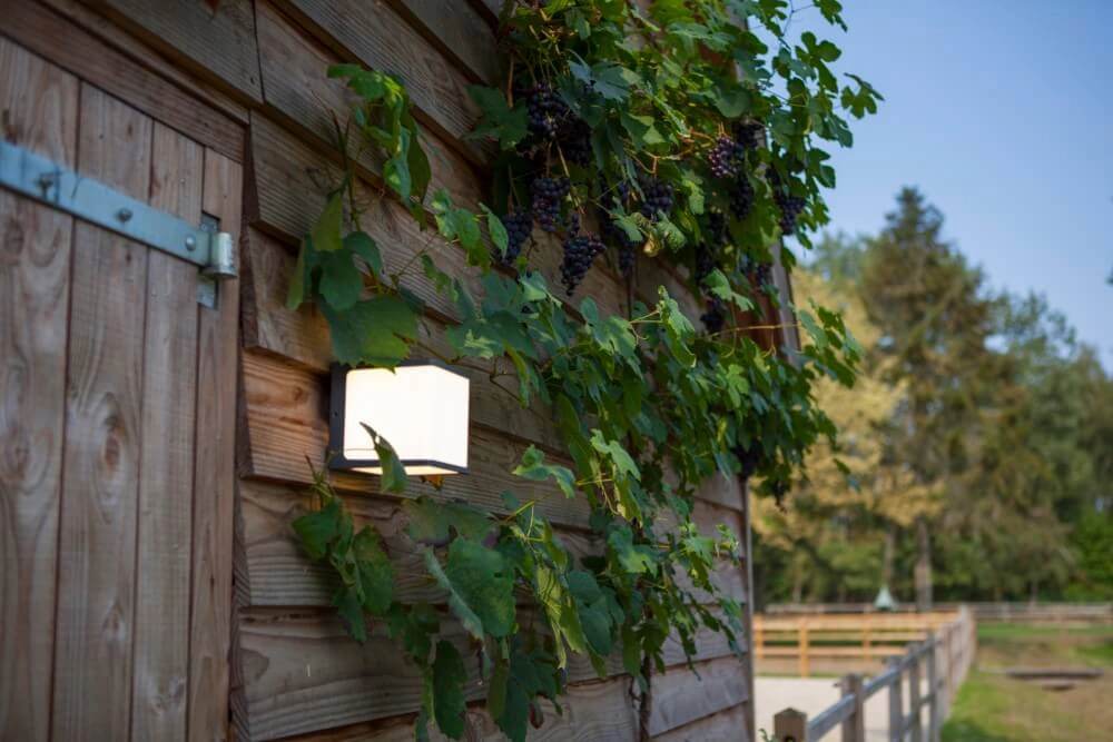 Design wandlamp Doblo antraciet Lutec 6939412012377