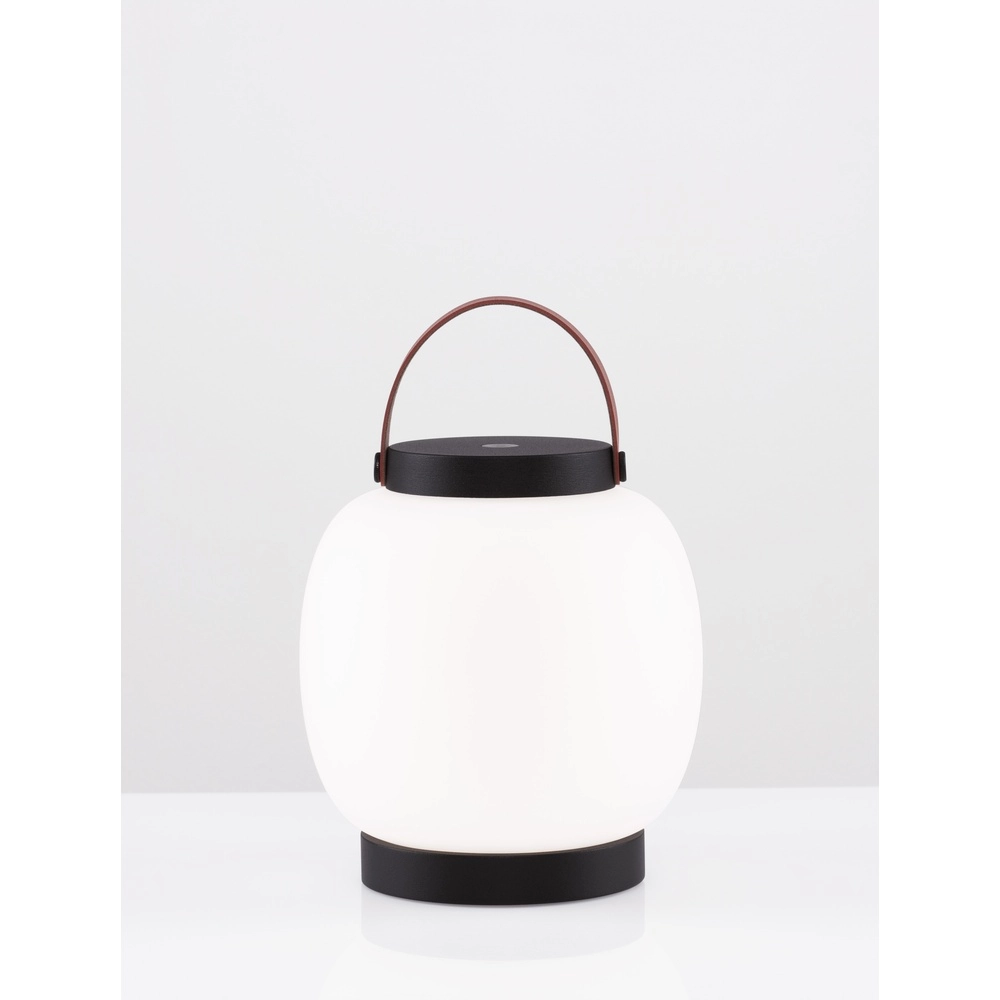 Rechargeable table lamp Jigra anthracite with white Lyora 5212017434876