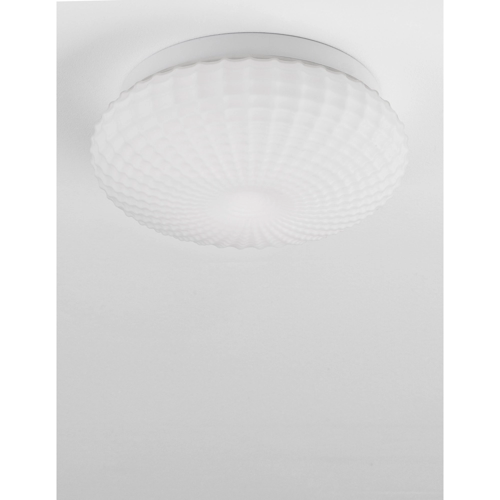 Plafondlamp Clam wit glas Lyora 5212017419460