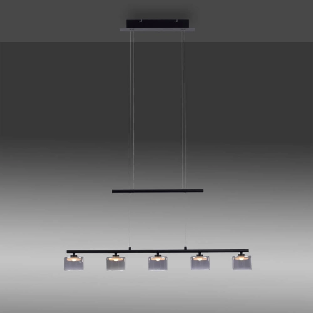 5-lichts hanglamp Hydra zwart Paul Neuhaus 4012248364970