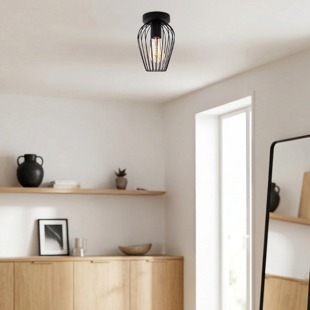 Draad plafondlamp Newtown Ø 16cm - zwart Eglo 9002759307790