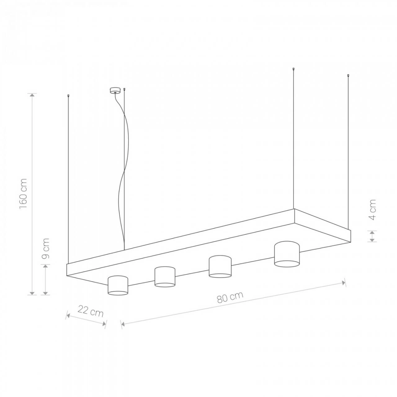 Zwarte hanglamp Plant Lyora 5903139938198