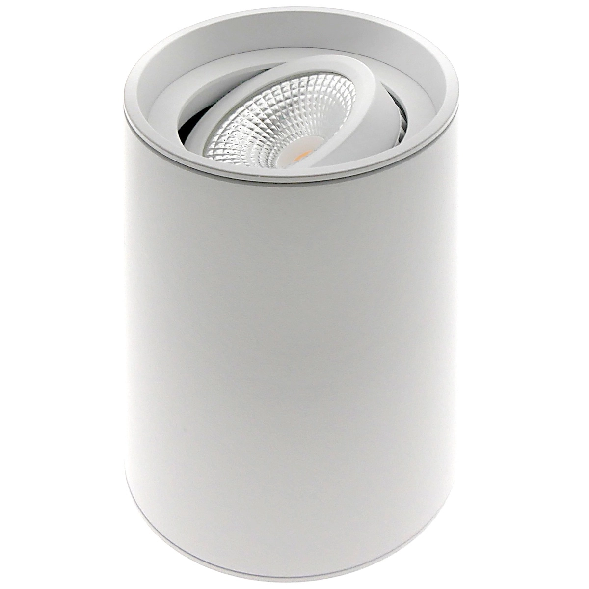 Opbouwspot Viggo 1x GU10 - wit