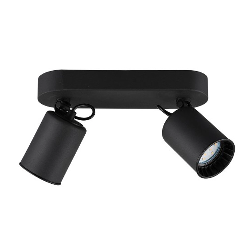 Zwarte plafondlamp Pago met 2 spots Trio 4017807408249