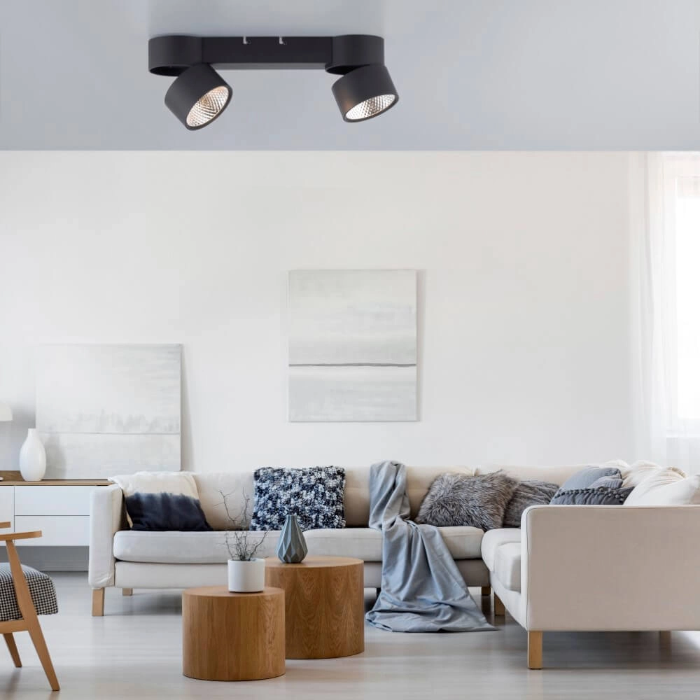 Plafondlamp Pure Nola 2-lichts zwart Paul Neuhaus 4012248372005