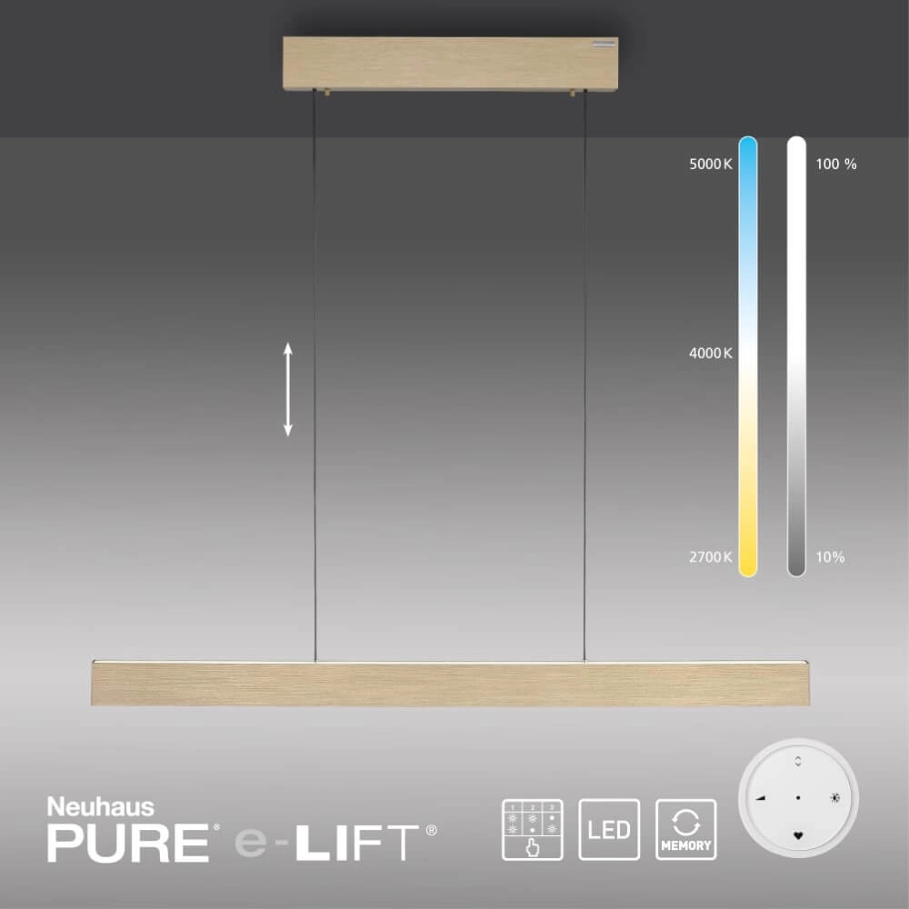 Design hanglamp Pure E-Motion messing Paul Neuhaus 4012248372913