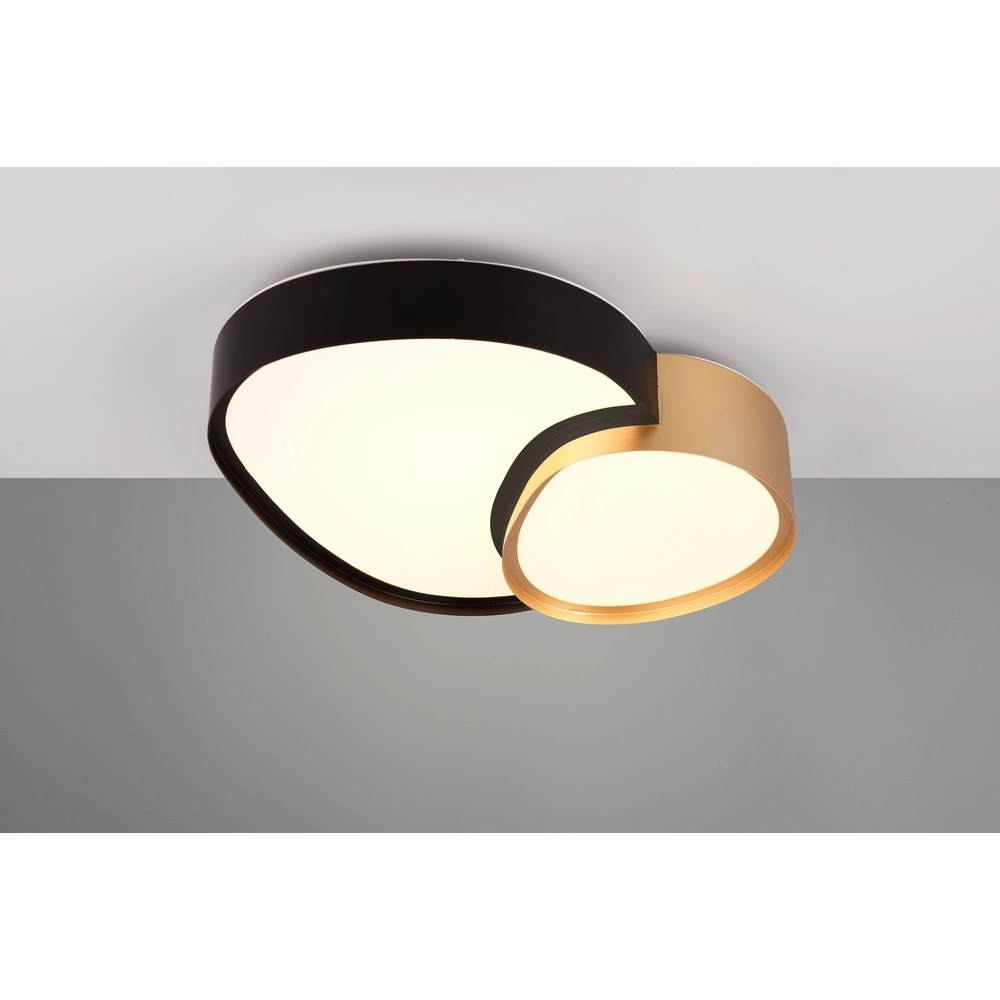 Organische plafonniere Rise 43,5cm zwart met goud Trio 4017807600599
