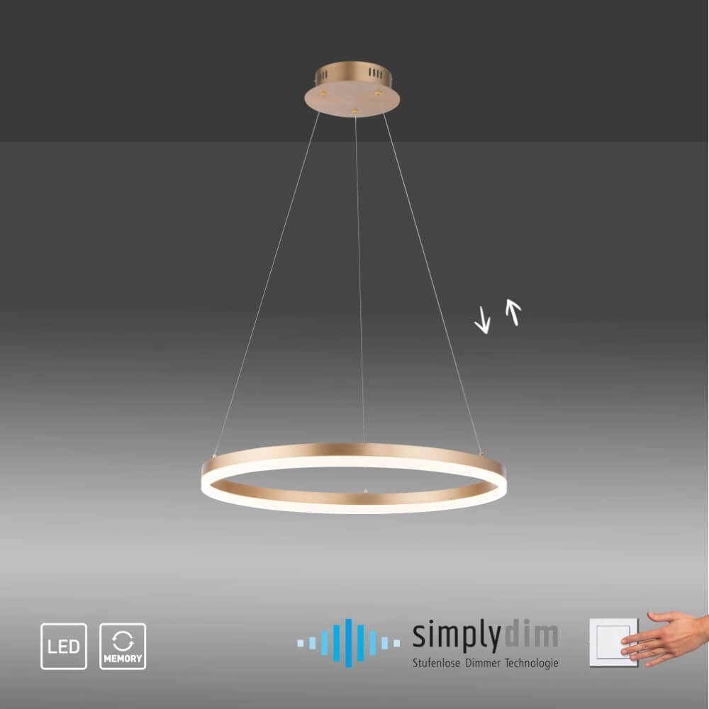Moderne hanglamp Titus Ø 60cm antiek messing Paul Neuhaus 4012248362853