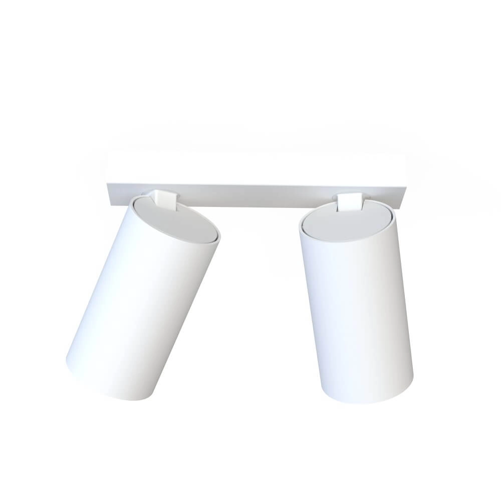 Witte opbouwspot Mono 2-lichts kantelbaar Lyora 5903139781091