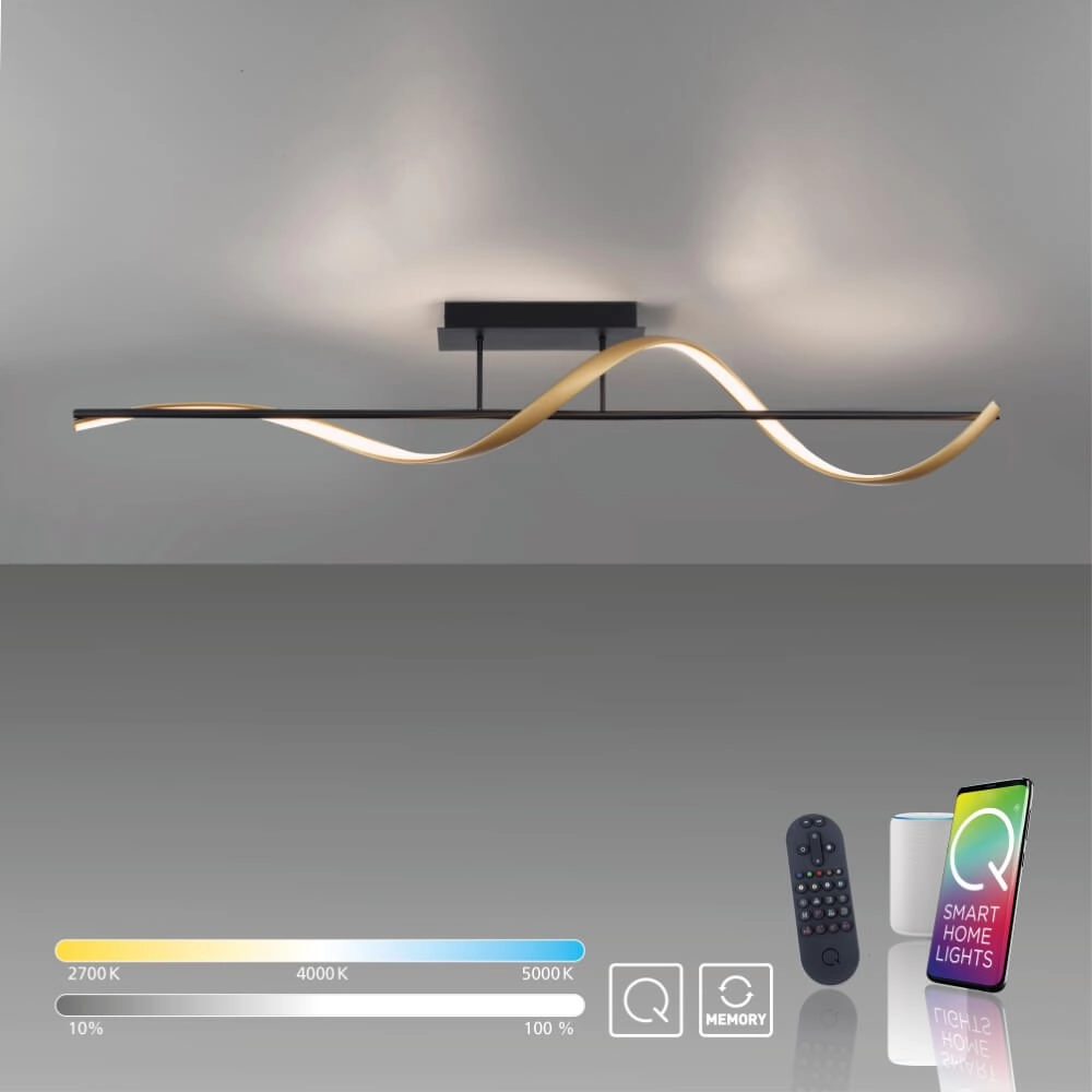 Plafondlamp Q-Swing antraciet Paul Neuhaus 4012248373774