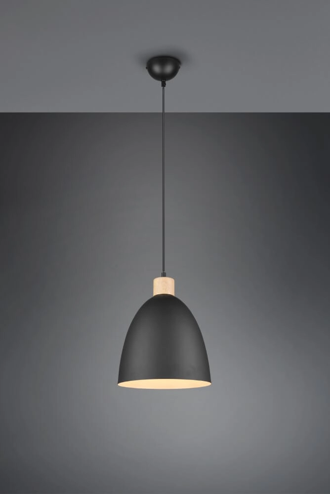 Hanglamp Jagger zwart met houtbruin Trio 4017807503197