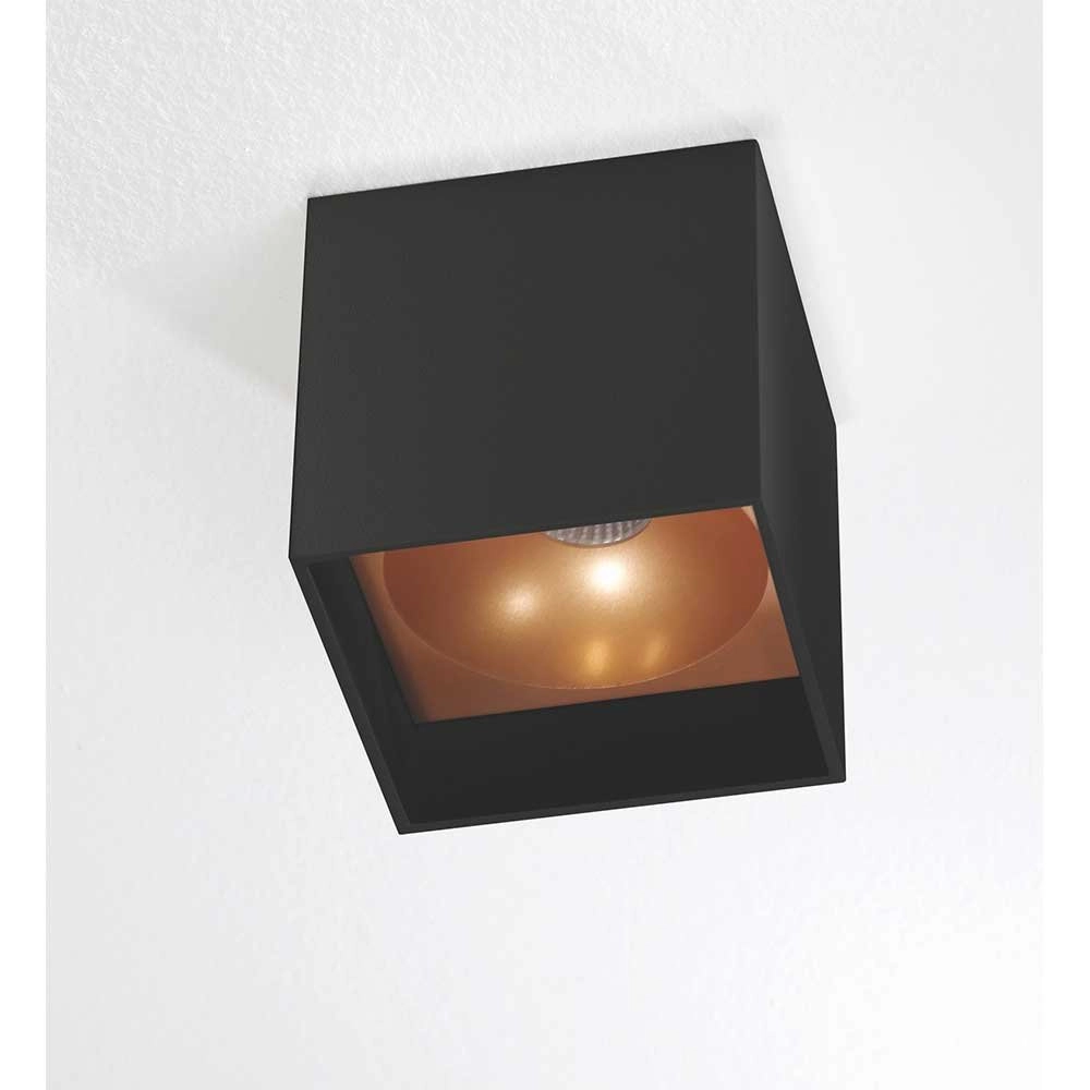 Zwarte ledspot Brock met goud Zwarte ledspot Brock met goud