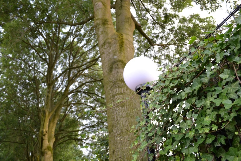 Bollamp Bolano 20cm. Lyora 8716803507319