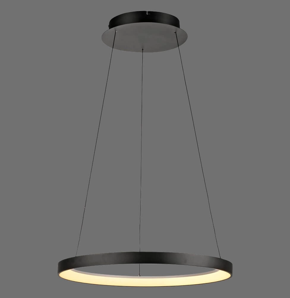 Ronde hanglamp Hoop zwart Paul Neuhaus 4012248384695