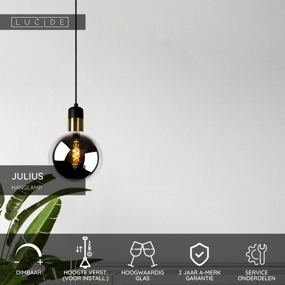 Hanglamp Julius Ø 20cm smoke glas Lucide 5411212343321