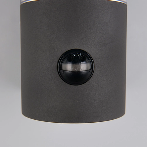 Wandlamp Tagus antraciet met sensor Trio 4017807686821