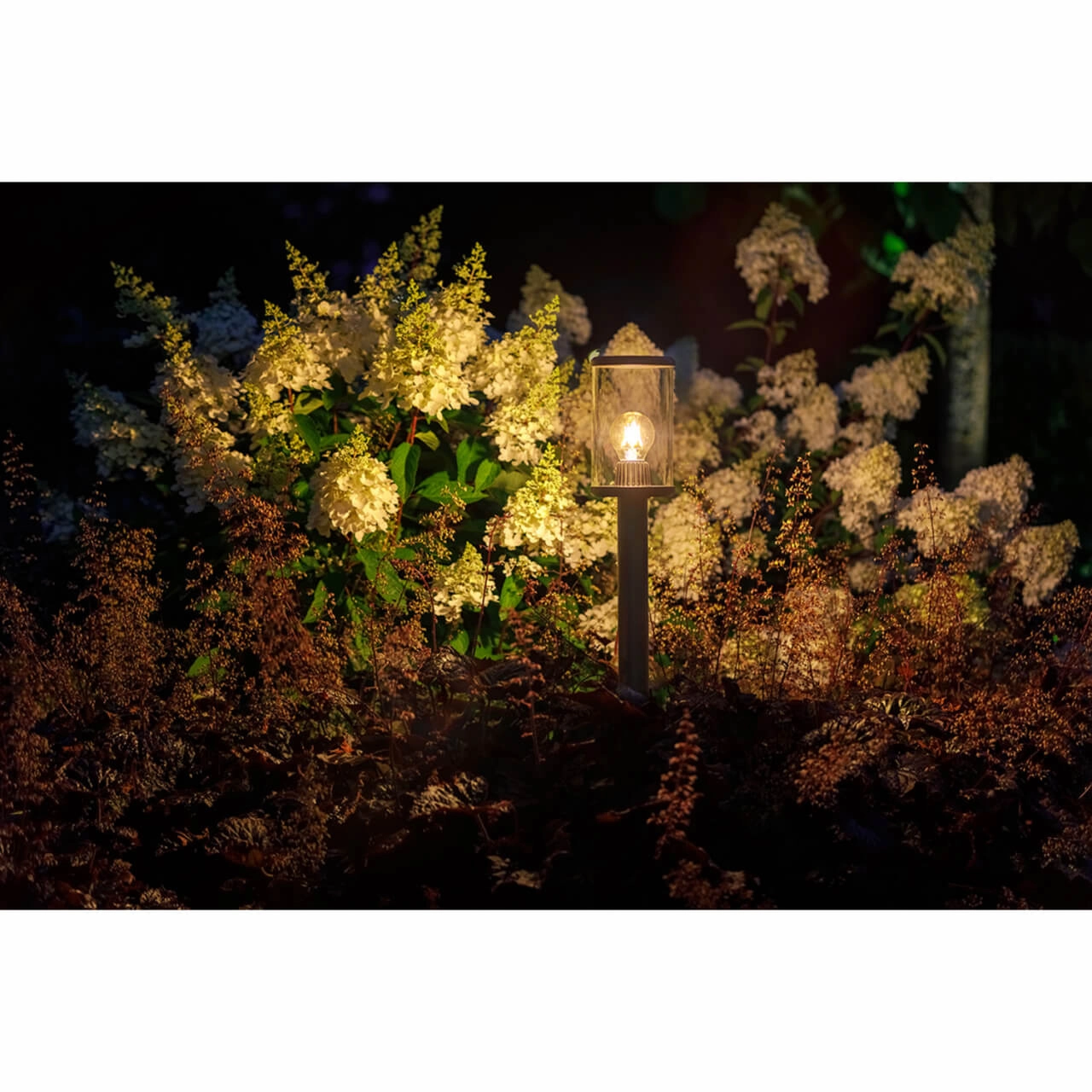 12 volt terraslamp Eros High zwart Lightpro 8719979282691