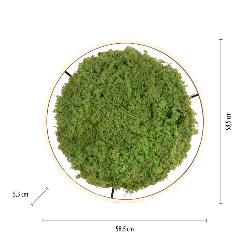 Plafondlamp Green Ritus met mos Ø 58,5cm Just Light 4043689994808