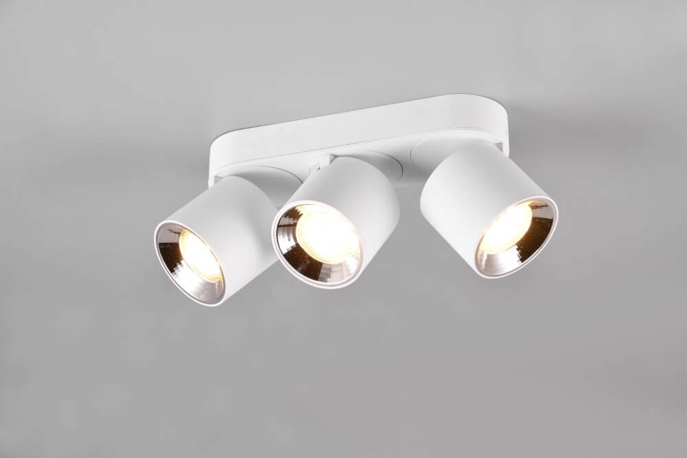 Plafondlamp Guayana 3-lichts wit Trio 4017807573985