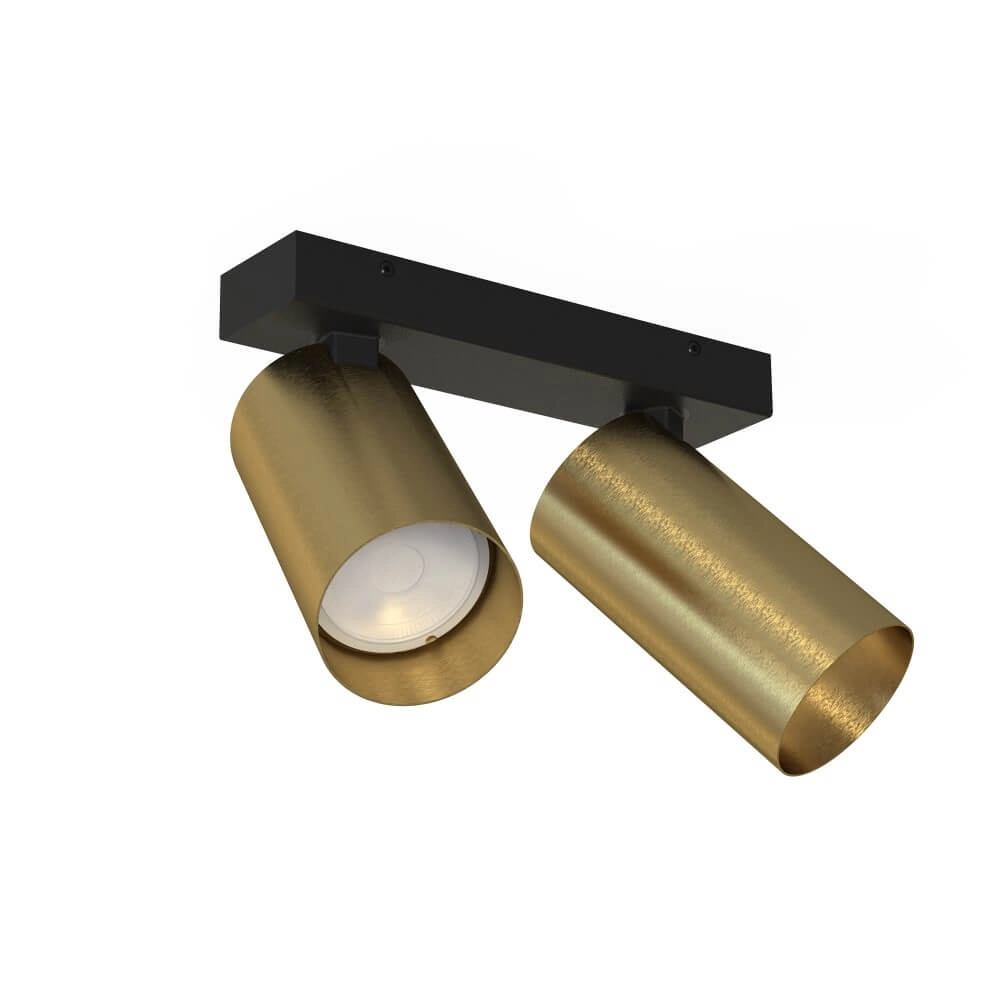 Gouden opbouwspot Mono 2-lichts kantelbaar Lyora 5903139778299
