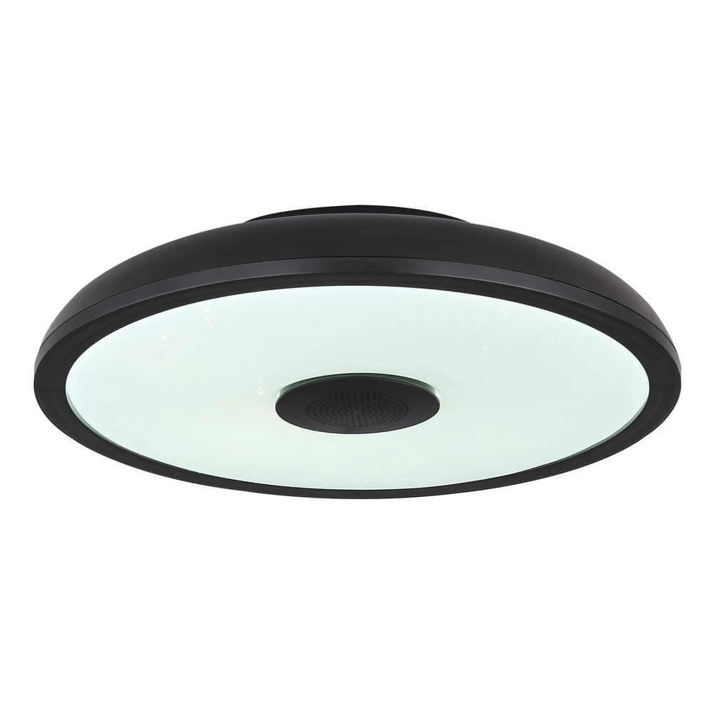 Zwarte plafonniere Raffy Ø 28cm Globo 9007371418848