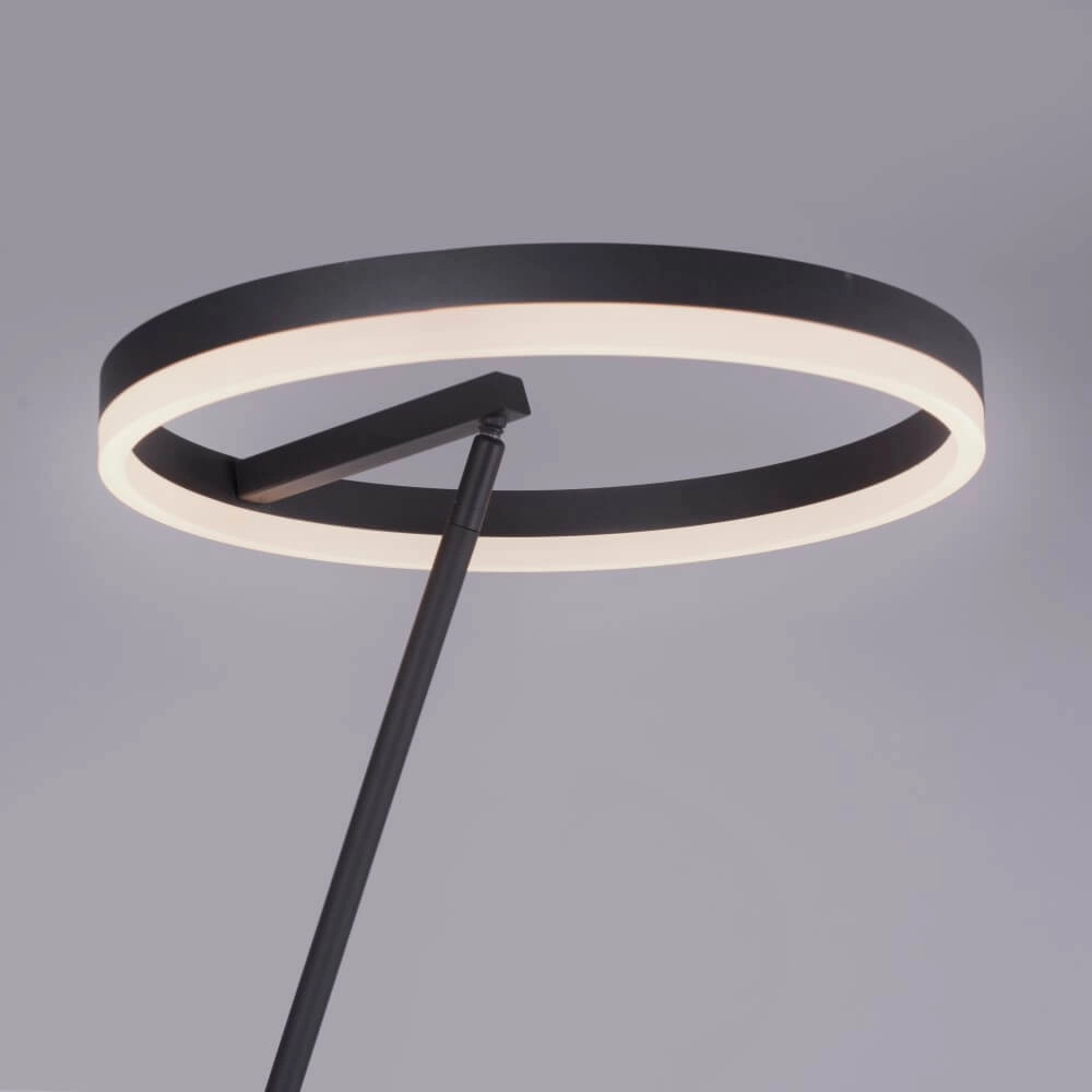 Antraciete vloerlamp Titus modern Paul Neuhaus 4012248357637