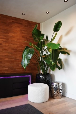 Smart home Led stripe 5M wittinten en RGB Circle 8712879149217