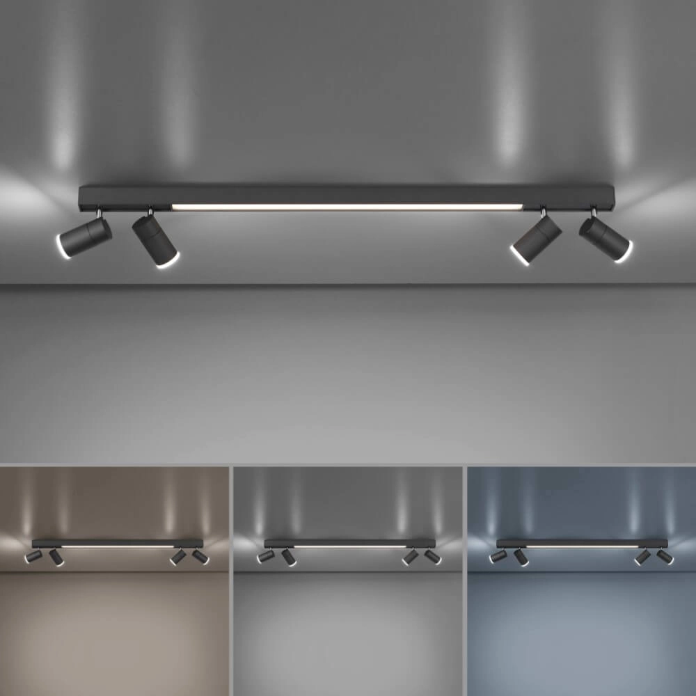 Strakke plafondlamp Pure Lines Spot antraciet Paul Neuhaus 4012248366349