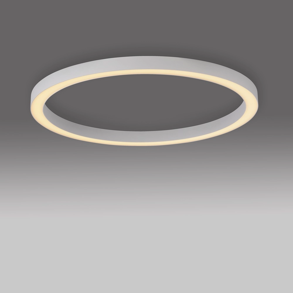 Strakke led plafondlamp Pure Lines Round Ø 70cm - wit Paul Neuhaus 4012248395813