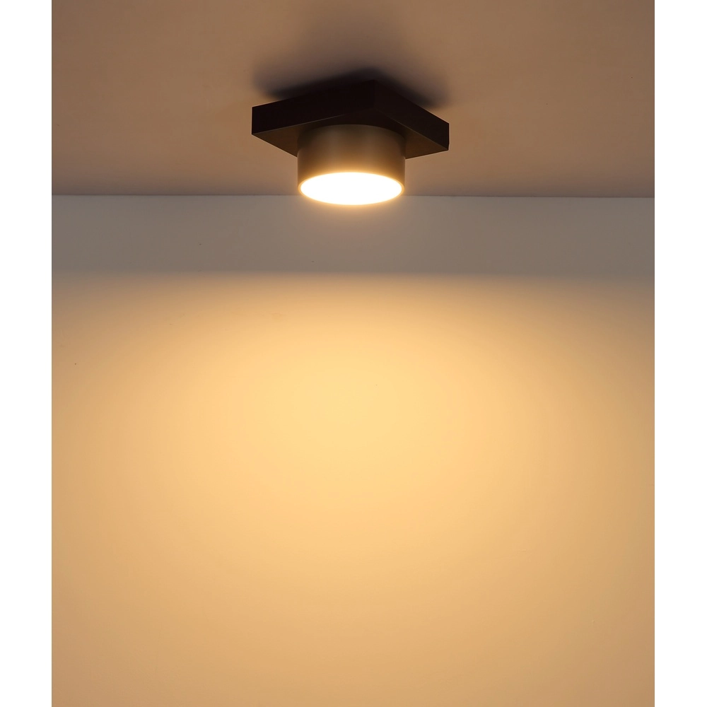 Plafondlamp Raymond zwart met champagne Globo 9007371569373