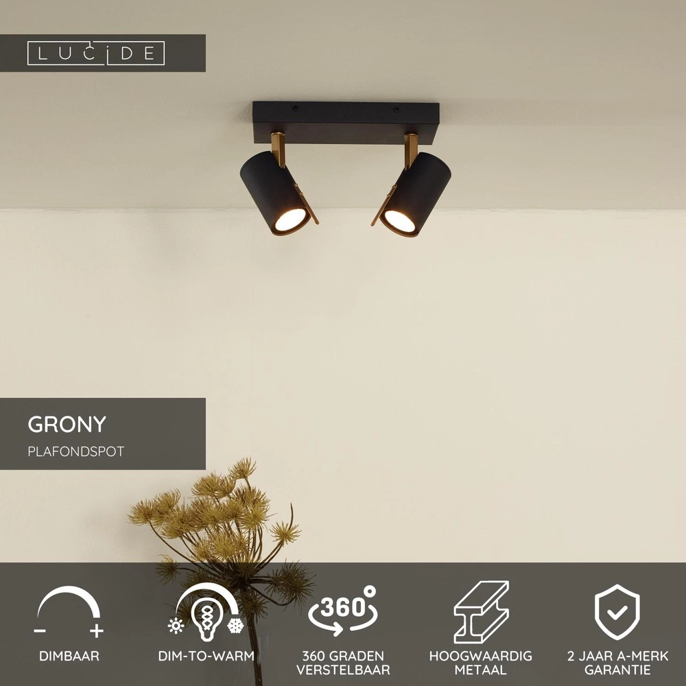 Plafondlamp Grony 2-lichts zwart Lucide 5411212176905