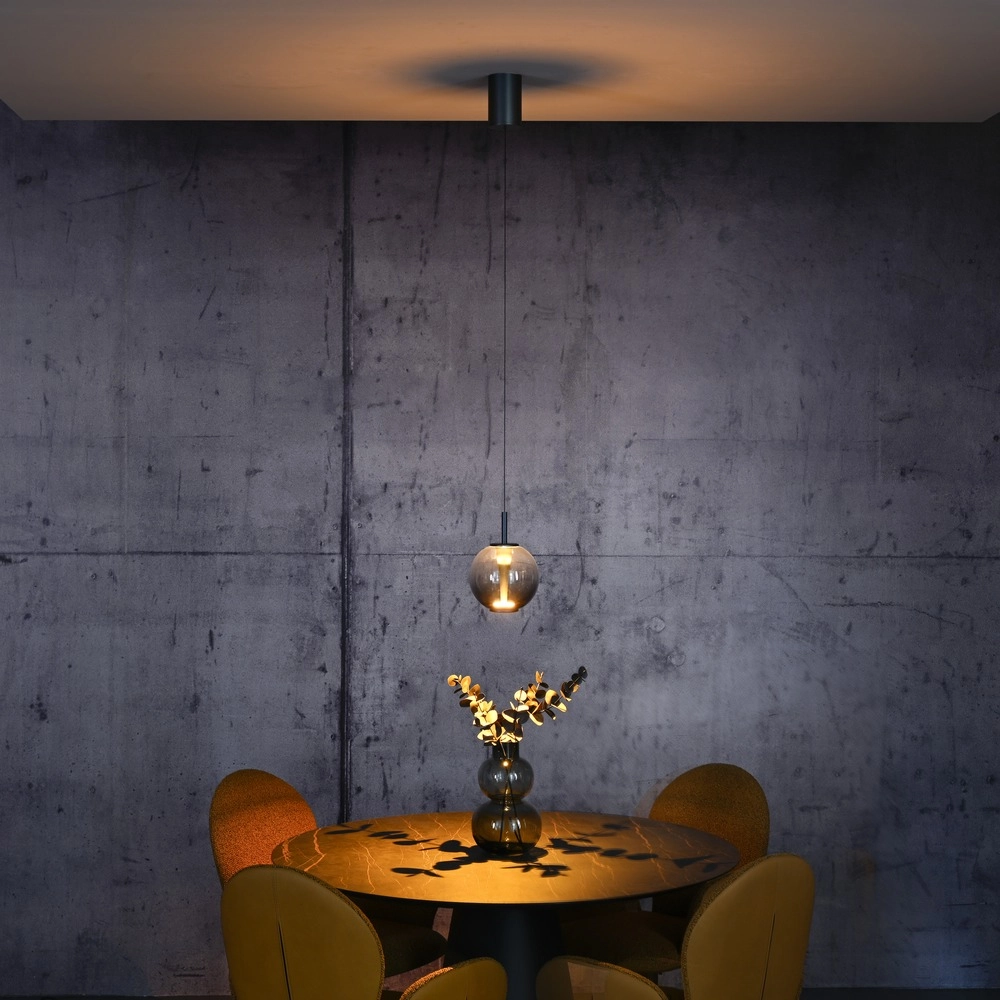 Led hanglamp Pure Infinity met smoke glas - Ø 18cm Paul Neuhaus 4012248399033