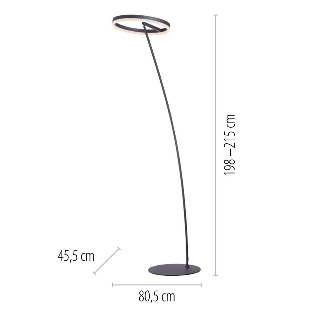 Antraciete vloerlamp Titus modern Paul Neuhaus 4012248357637